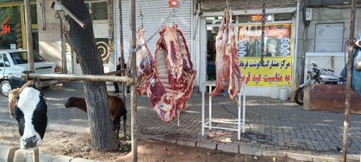 عکس گوشت و مرغ جاوید 