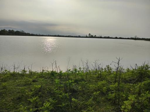 عکس منطقه جنگلی خرطوم