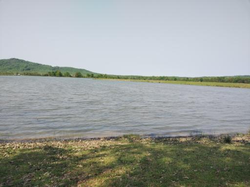 عکس منطقه جنگلی خرطوم