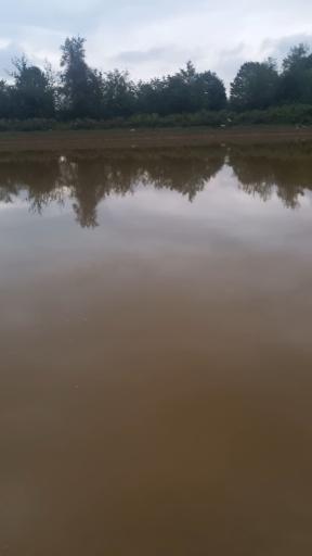 عکس منطقه جنگلی خرطوم