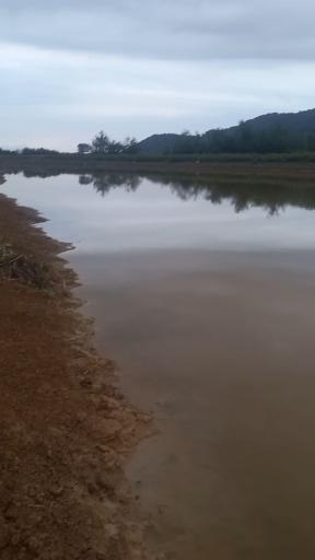 عکس منطقه جنگلی خرطوم