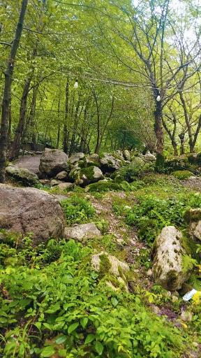 عکس سد زوات