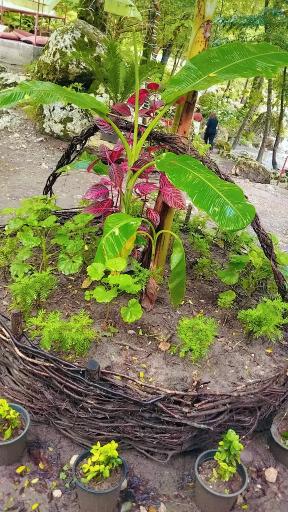 عکس سد زوات