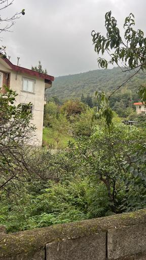 عکس سد زوات