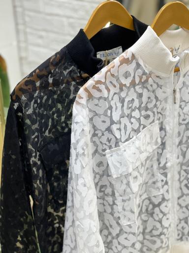 گالری نارسیسو