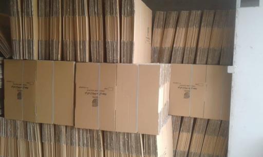 عکس کارتن سازی آدا پک