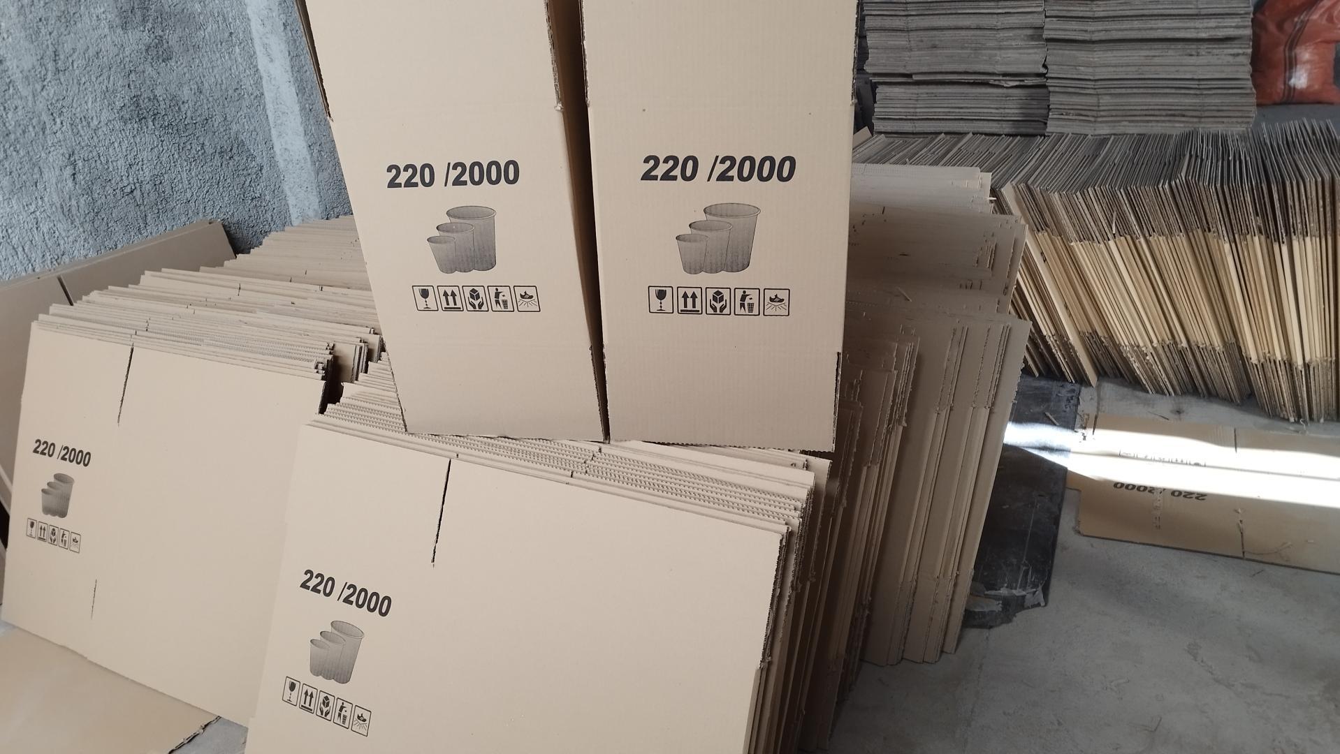 عکس کارتن سازی آدا پک