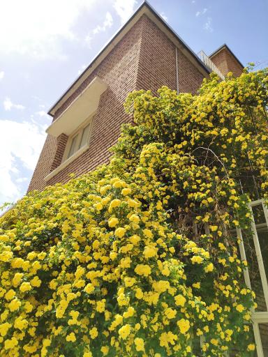 عکس خانه موزه استاد لر زاده