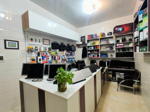 عکس کاکتوس رایانه