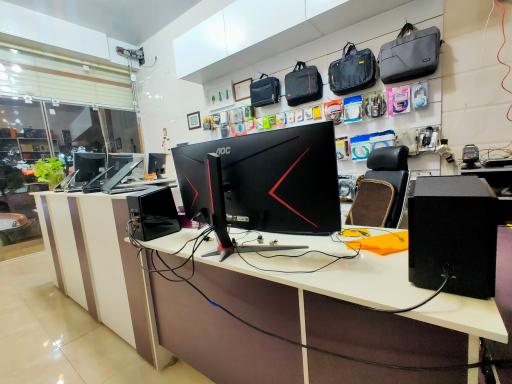 عکس کاکتوس رایانه