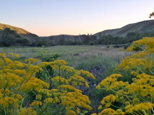 عکس ارمغانخانه