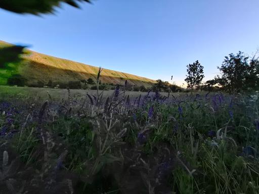 عکس ارمغانخانه