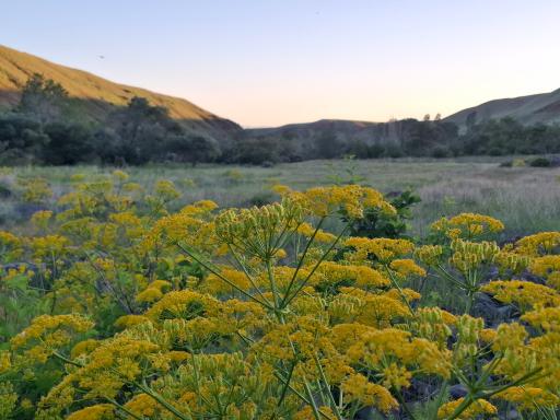عکس ارمغانخانه