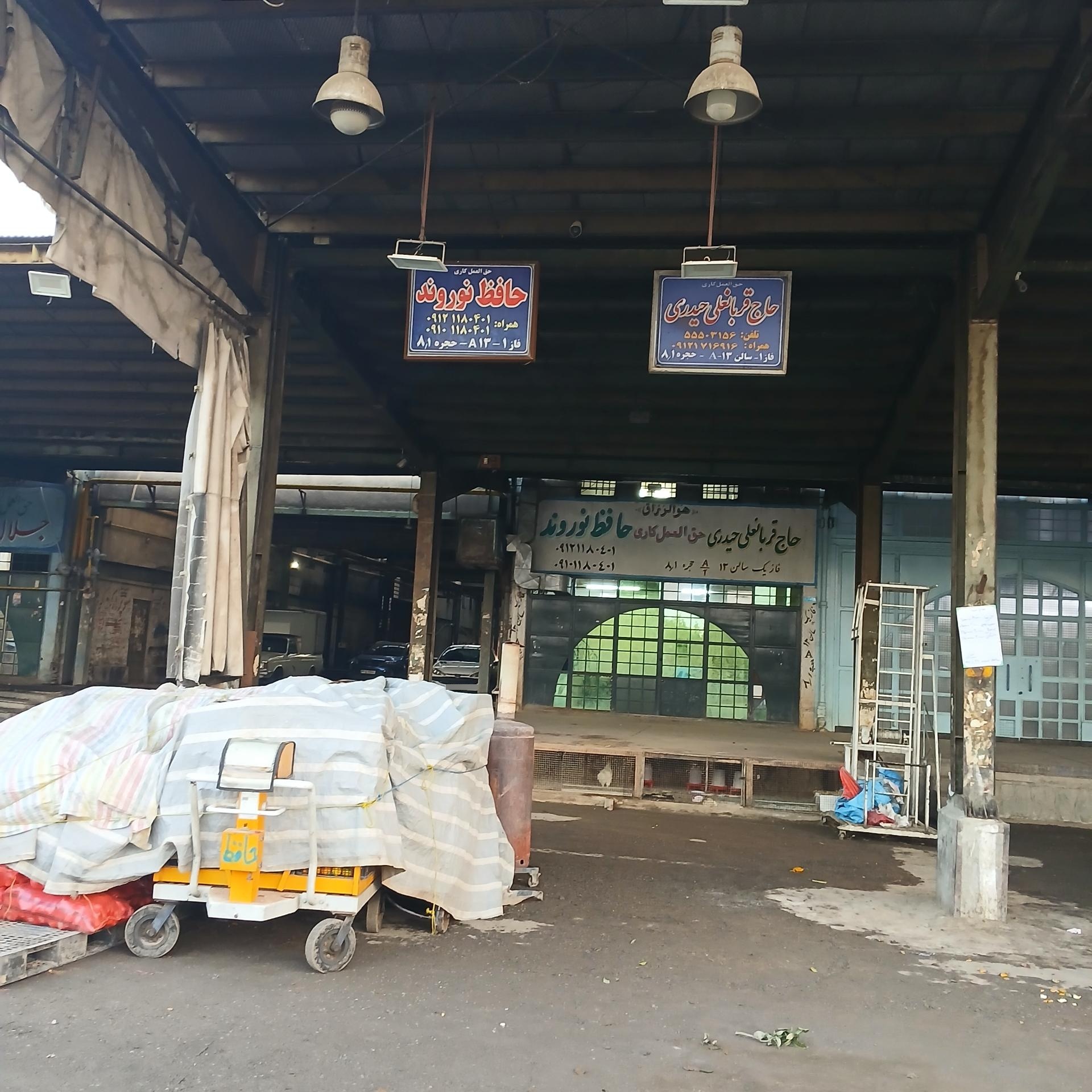 عکس فاز 1 سالن 13 A