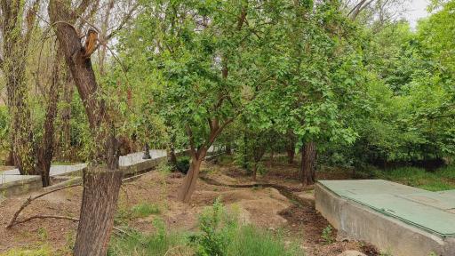 عکس پارک محله حاجی آباد