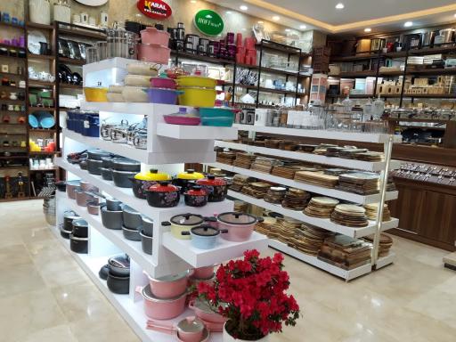 عکس گالری پرتقال