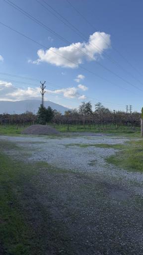 دهکده سبز چالوس محله