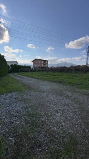 دهکده سبز چالوس محله