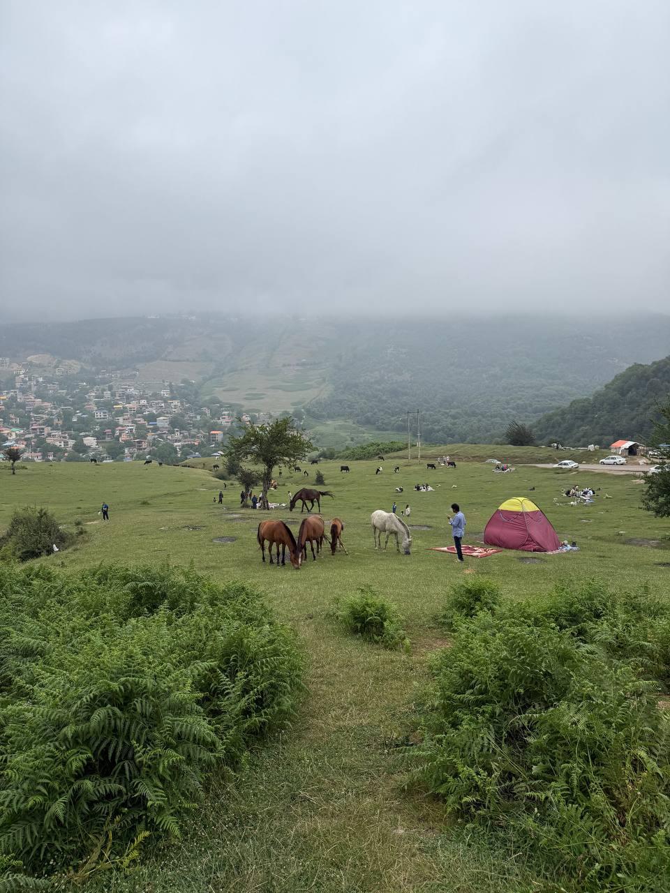 عکس دشت جاده فیلبند