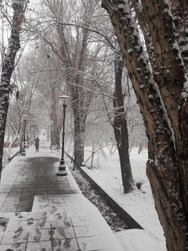 عکس پارک محله حاجی آباد