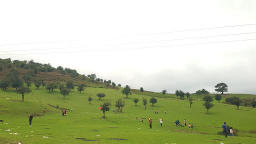 عکس دشت جاده فیلبند