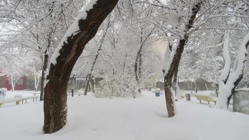 عکس باغ ملی قوچان