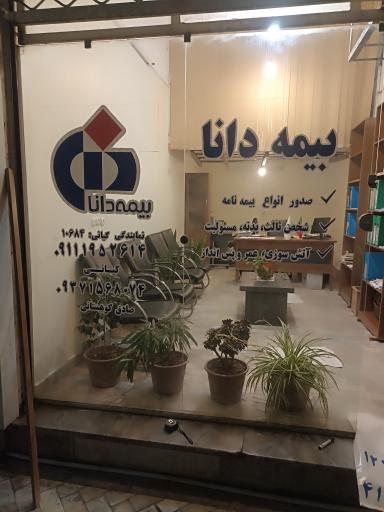 نمایندگی بیمه دانا کیانی