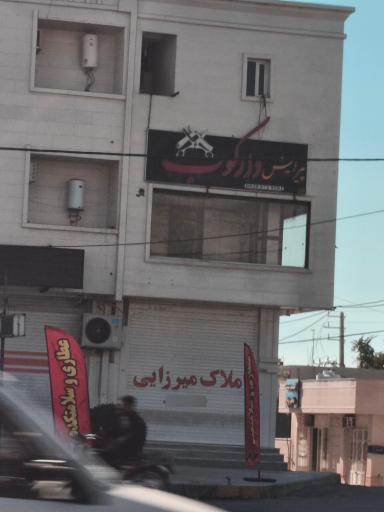 عکس پیرایش دارکوب