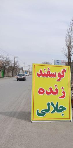 عکس دامداری جلالی 