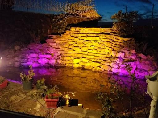 عکس رستوران ارکیده