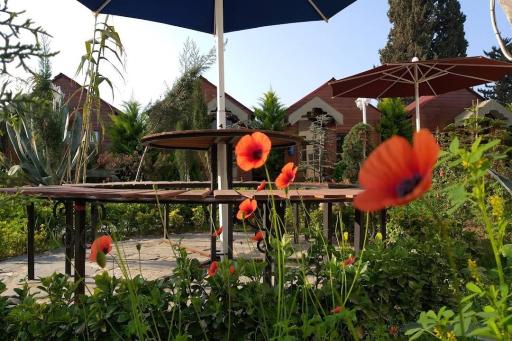 عکس رستوران ارکیده