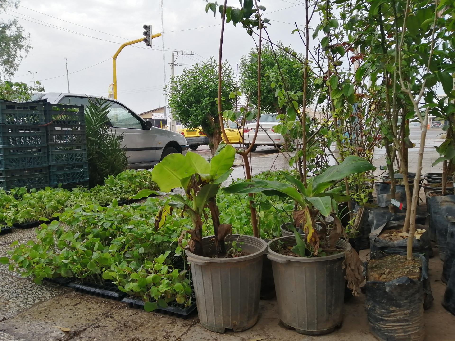 عکس فروشگاه کشاورزی تمیمی