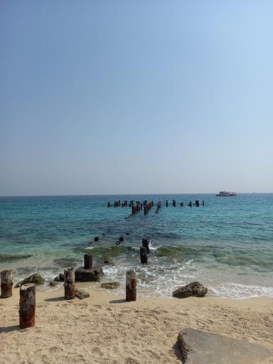 عکس پارک ساحلی