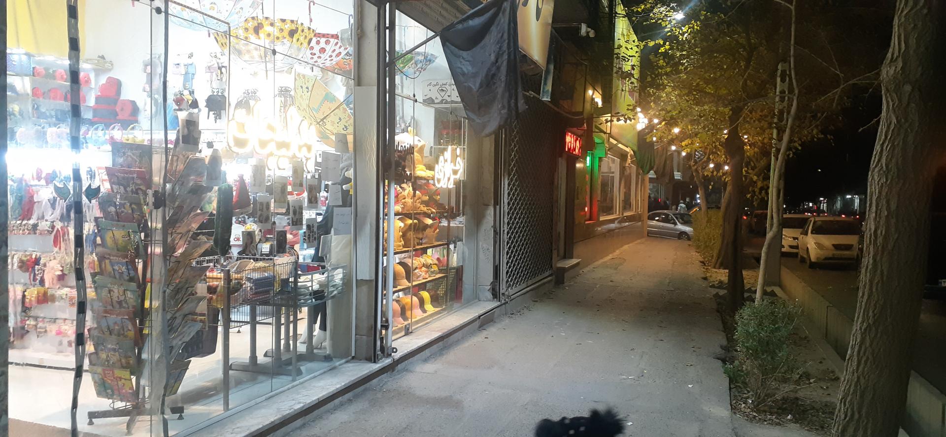 عکس خرازی رز