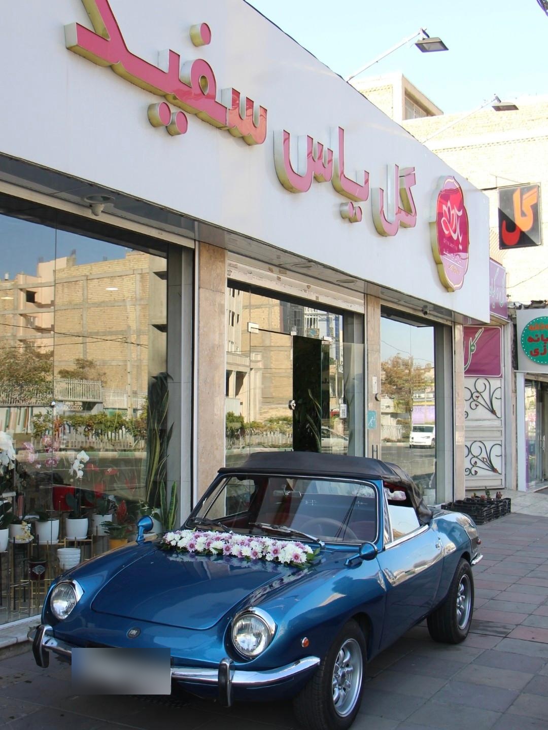 عکس گل فروشی یاس سفید