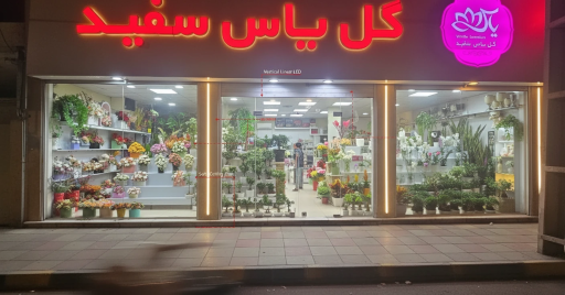 عکس گل فروشی یاس سفید