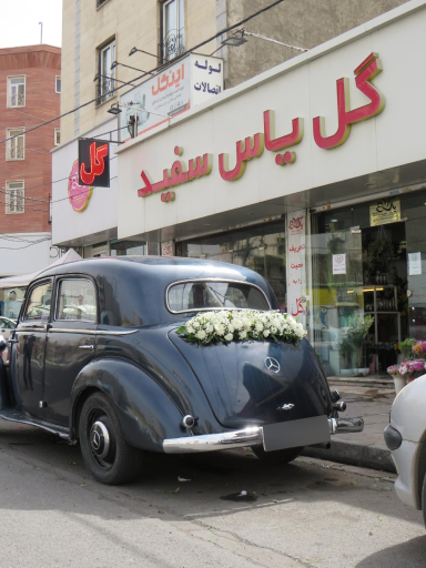 عکس گل فروشی یاس سفید