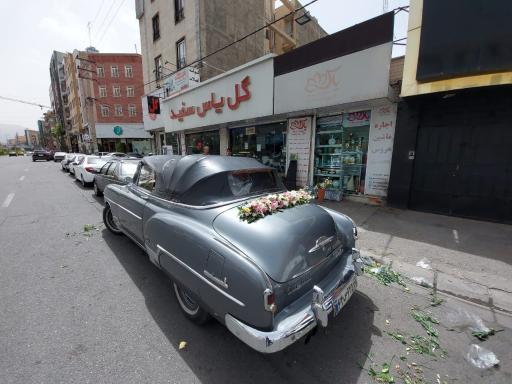 عکس گل فروشی یاس سفید