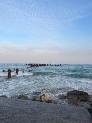 عکس پارک ساحلی