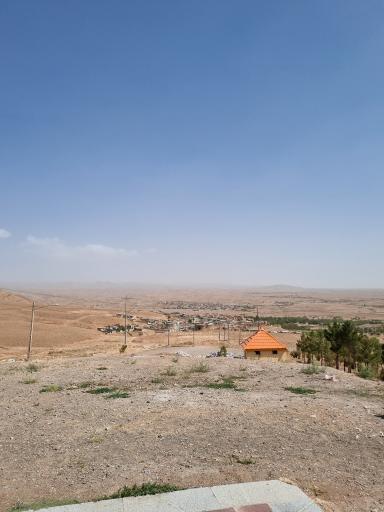عکس ریوش