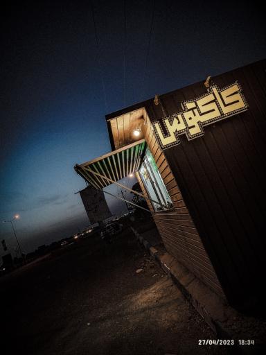 عکس کافه کاکتوس 