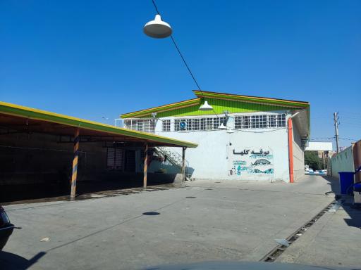 عکس کارواش گلها