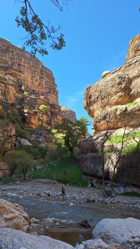 عکس تنگ شیرز