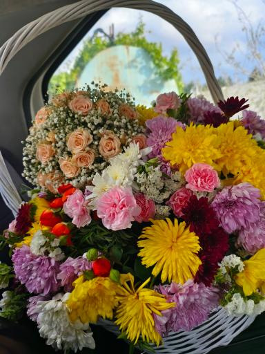 عکس گل فلولند