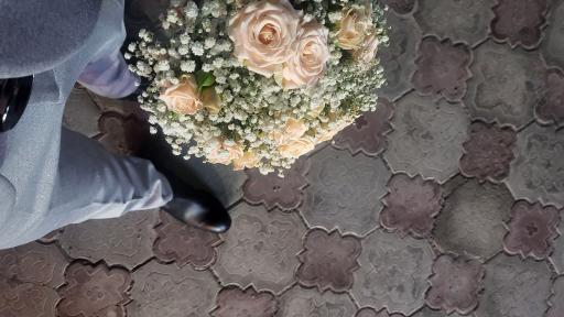 عکس گل فلولند