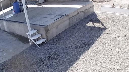 عکس قالیشویی سالاری