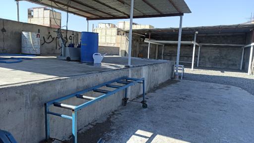 عکس قالیشویی سالاری