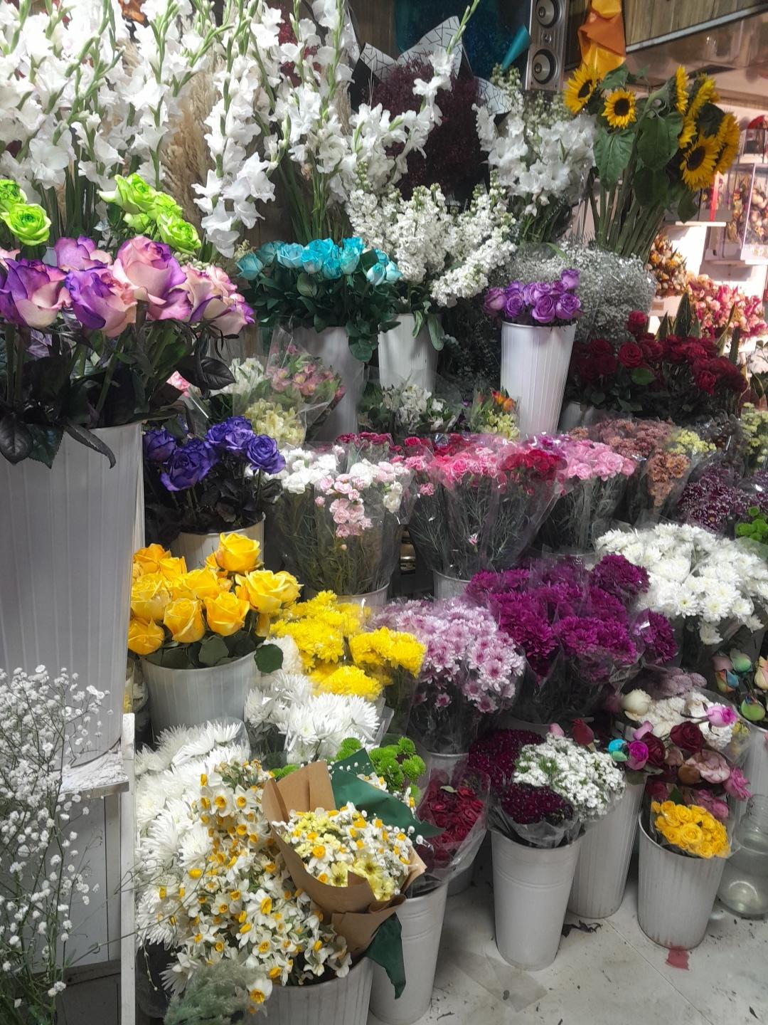 عکس گلفروشی رد رز