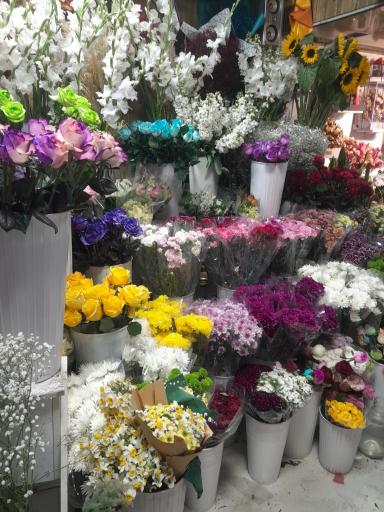 عکس گلفروشی رد رز