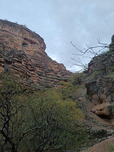 عکس تنگ شیرز